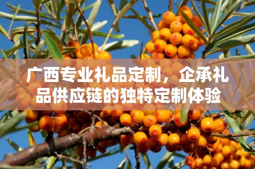 广西专业礼品定制，企承礼品供应链的独特定制体验